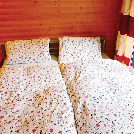 Two-bedroom Holiday With A Fireplace 04 * Biendorf